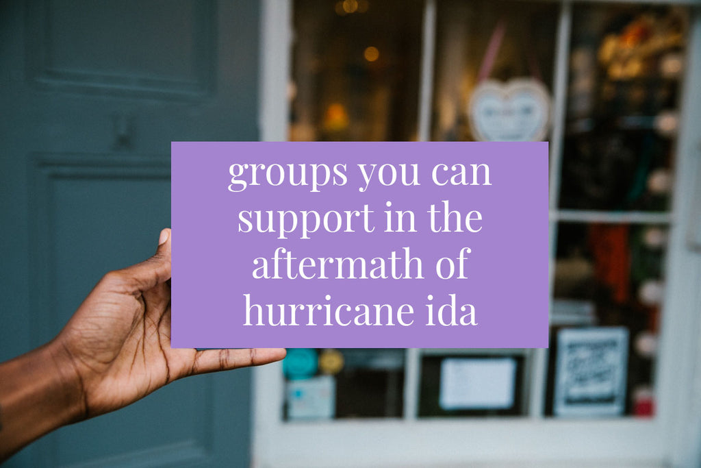 Groups you can support in the aftermath of Hurricane Ida