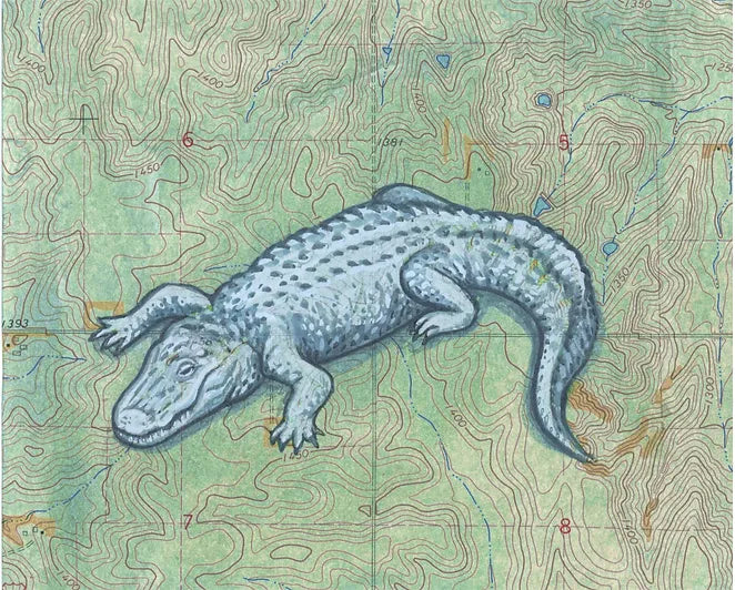 White Alligator Postcard by Us & We Art