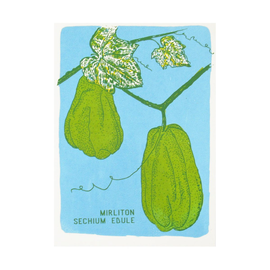 Mirliton: Sechium Edule fruit of Louisiana print by Kiernan Dunn