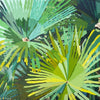 Palmettos print of painting by Pyramids and Rainbows. Square green textures