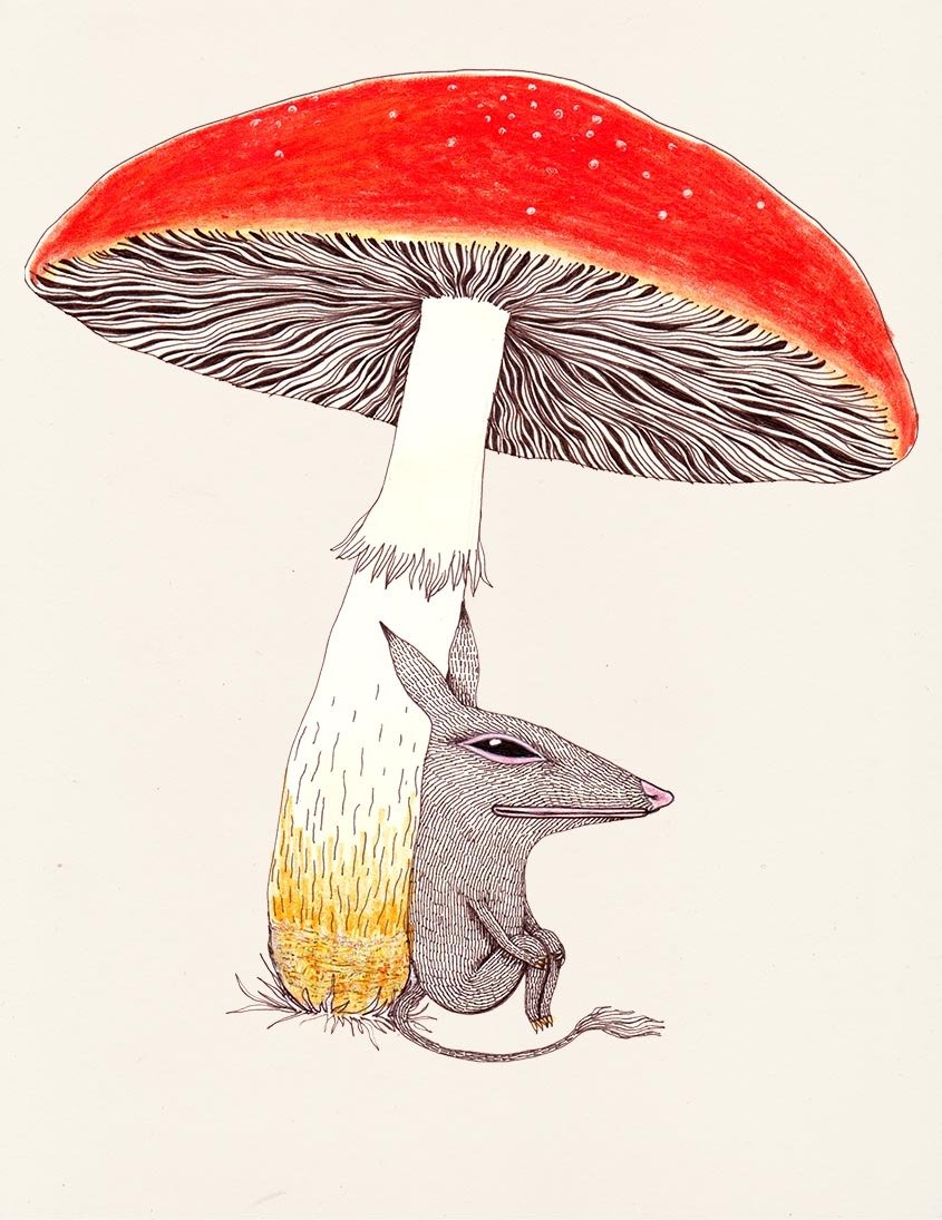 Small creature with knees up to its chest resting its back on a big red mushroom.